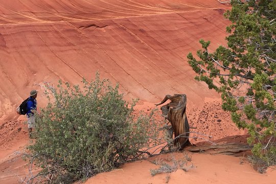 Tour image 9