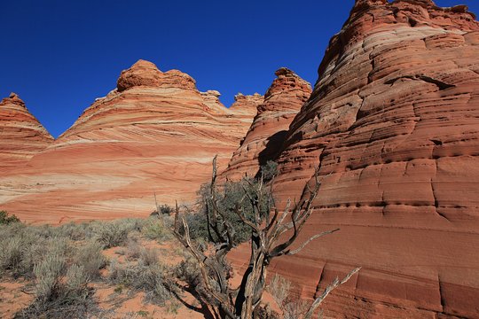 Tour image 13