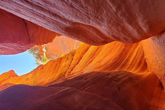 Tour image 12