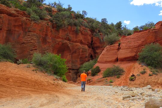 Tour image 7
