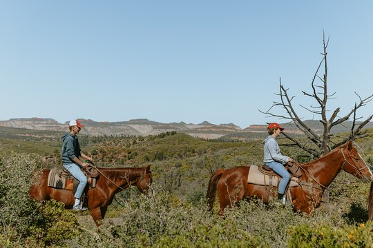Tour image 7
