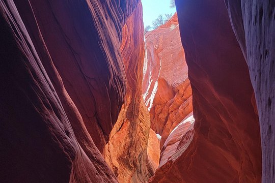 Tour image 6