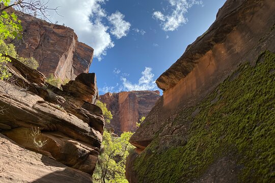 Tour image 9