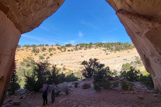 Tour image 10