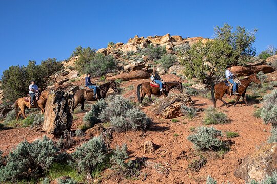 Tour image 5